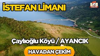 Ayancık